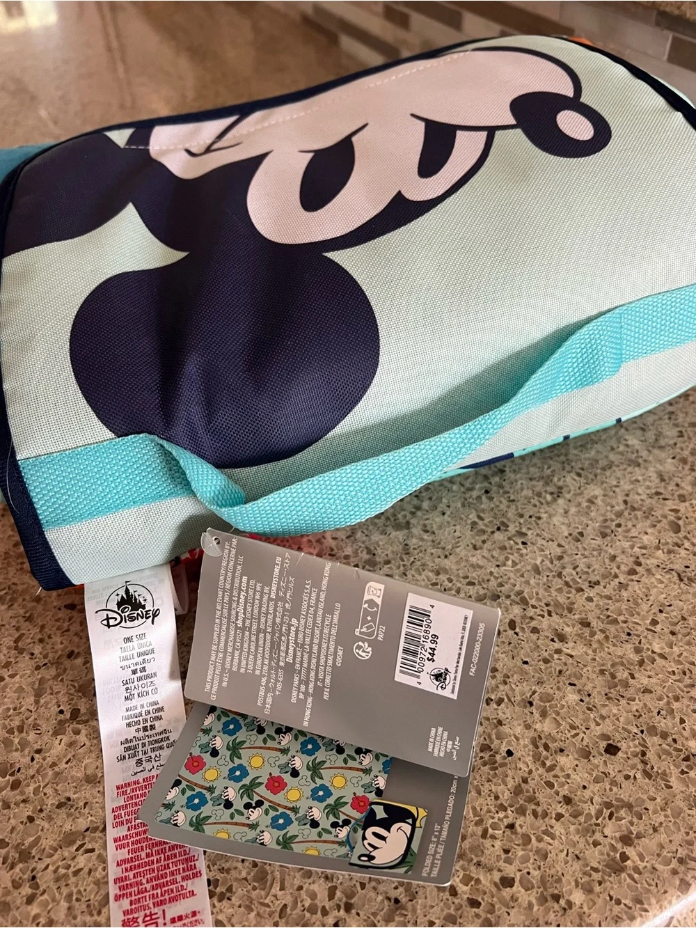 Disney  Folding Picnic Blanket - Aqua Teal Handle with Navy Trim